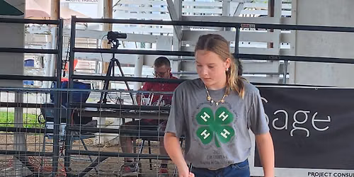 4-H Swine Show