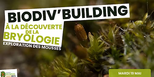 \u00c0 la d\u00e9couverte de la bryologie : exploration des mousses