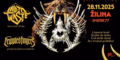 \u010cAD KROMA\u0147ON TOUR | \u017dilina