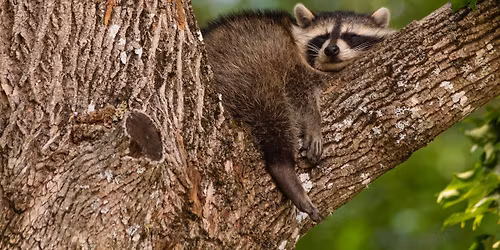 Earth Day at EpicCentral