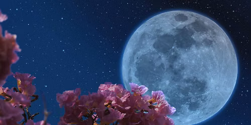 Full Blue Moon Group Reiki + Sound Healing Ceremony with Anne Marie (05\/28\/26)