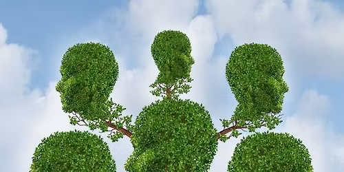 Family & Systemic Constellations | Half-Day Workshop | WHANGANUI