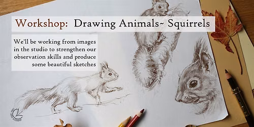 Workshop: Drawing Animals- Squirrels, for  Beginners +, Eindhoven