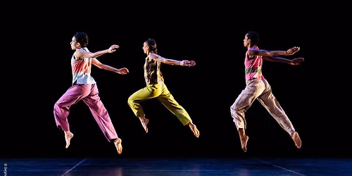 Trisha Brown Dance Company
