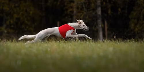 Nasjonal LC-pr\u00f8ve