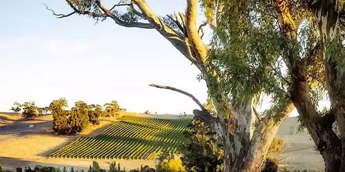 Wine Class: High and Dry -- Clare Valley