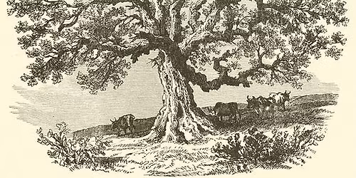 Genealogy Workshop: Trace Your Revolutionary Roots (registration required, hybrid)