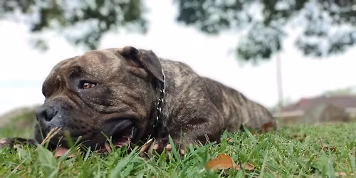 Shoreline Showdown KZN