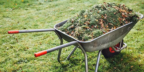 Yard Waste Clean Up Event