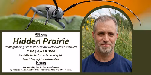 Hidden Prairie: Photographing Life in One Square Meter with Chris Helzer