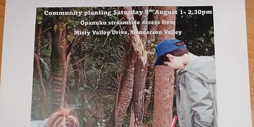 Community Planting- \u014cpanuku streamside, Henderson Valley