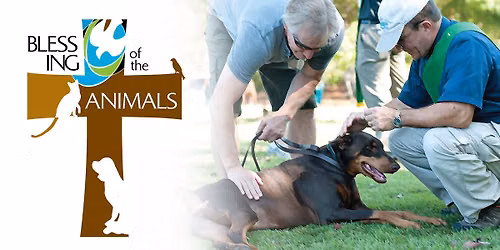 Blessing of the Animals