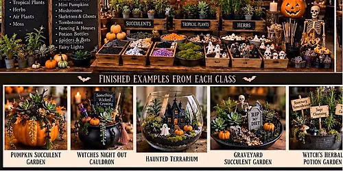 Pick Your Poison Plant Bar