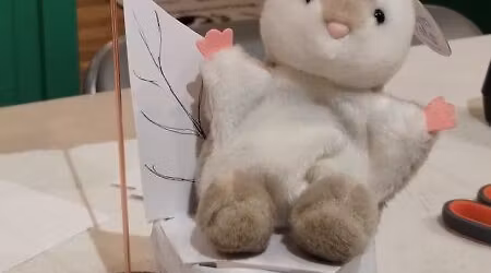 November Saturdays: Stuffed Animal Workshop