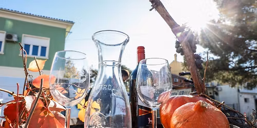 MARTINOVANJE V IZOLI \/\/ 8. 11. 2025 \/\/ Lonka