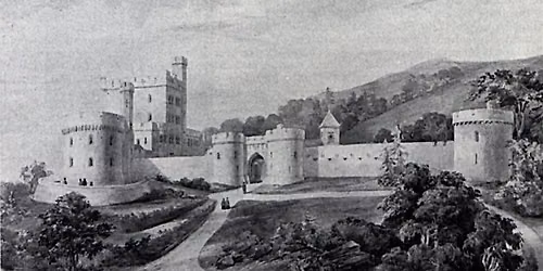 THE BARRINGTONS OF COUNTY LIMERICK AND THEIR TIMES