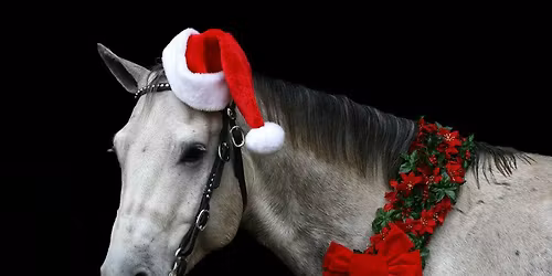 BCHUMR Annual Christmas Party 2025