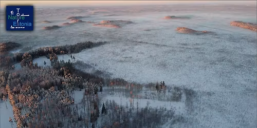 Traditsiooniline uusaastahommiku uitamine Emaj\u00f5e-Suursoos (r\u00e4\u00e4tsamatk)