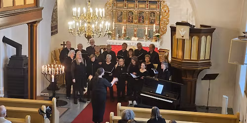 Vi synger jula inn - med V\u00e5le kirkekor