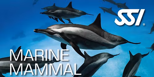 Marine Mammals Ecology Explorer