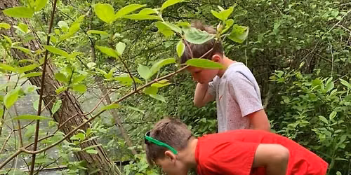 Adventures in Nature: Pond Dipping (Free Children's Program)
