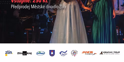 V\u00e1no\u010dn\u00ed koncert