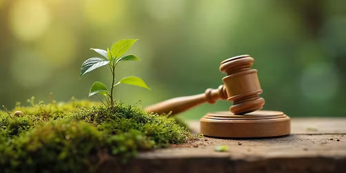 Szkolenie \tZmiany w zakresie ochrony zieleni na terenach obj\u0119tych ochron\u0105 konserwatorsk\u0105