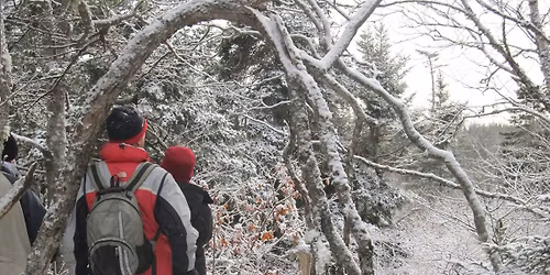 Indian Path Common Night Hike\/Snowshoe