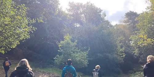 Guided Forest-Bathing with Meditation & Cacao Tea Amongst The Trees