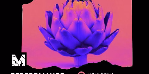 Performance Workshop - Hosted by Serenity Haes & Rainezra