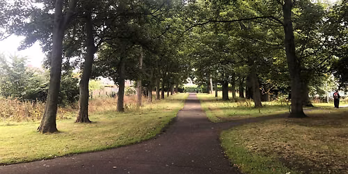 Victoria Park Creative Writing Walk