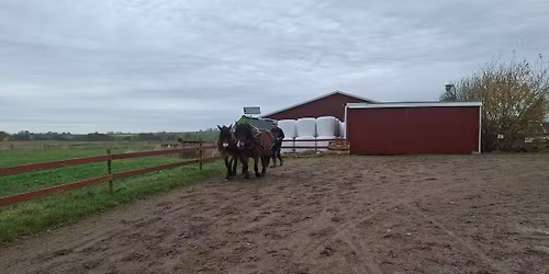 FNH Sk\u00e5ne arrangerar kurs i park\u00f6rning