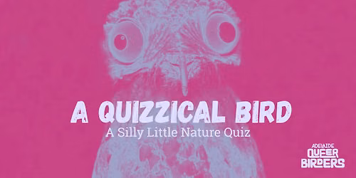 A Quizzical Bird - A Nature Quiz & Social Night By Adelaide Queer Birders
