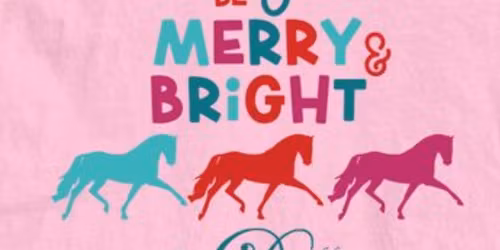 MacDonald Dressage X-Mas Party