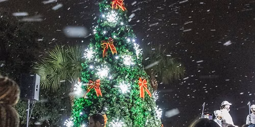 2026 Little Drummer Tree Lighting Experience in Oviedo
