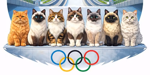 Webk@ttens 12. & 13. utstilling