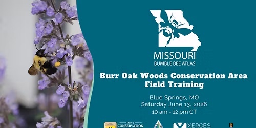 Missouri Bumble Bee Atlas Field Day at Burr Oak Woods Conservation Area