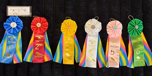 Rainy Day Baby Hunter Show