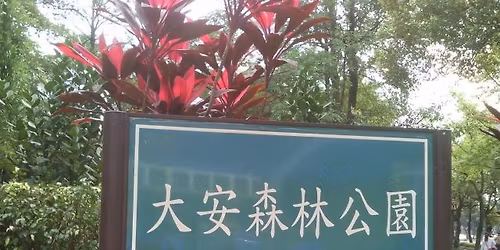 \u62ff\u5927\u8072\u516c\u53bb\u5927\u68ee\u516c