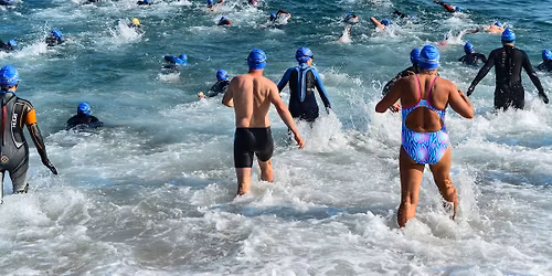 Dartmouth Swim 2026
