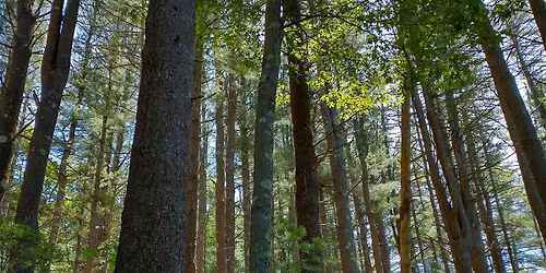 H.E.R.O. Juneteenth Nature Healing Walk