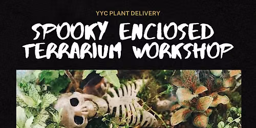 Spooky Enclosed Terrarium | Buffalo 9 Brewing