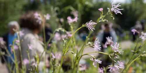 Wildeplantenbeurs in de Bourgoyen