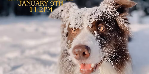 Adoptions at MB PGA Superstore