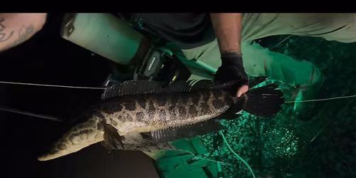 HECS @ WV fishing, hunting, and Outdoor show