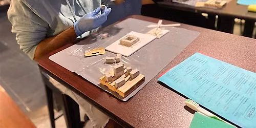 Mini Zen Garden Build In Fort Lauderdale \u2014 R&Build Day Date!