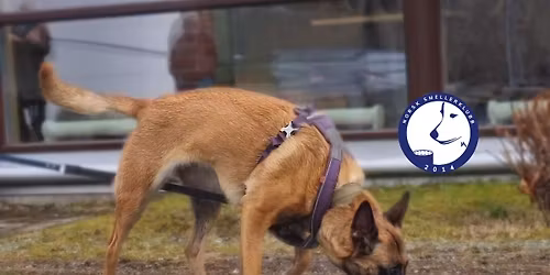 Spor p\u00e5 hardt underlag med Lena Haller