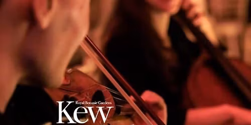 Mansion Concerts: Vivaldi Four Seasons at Wakehurst, Sussex