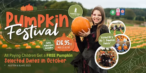 Pumpkin Picking at Cannon Hall Farm