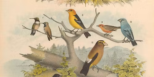 May First Saturday Open House: Go Birds!